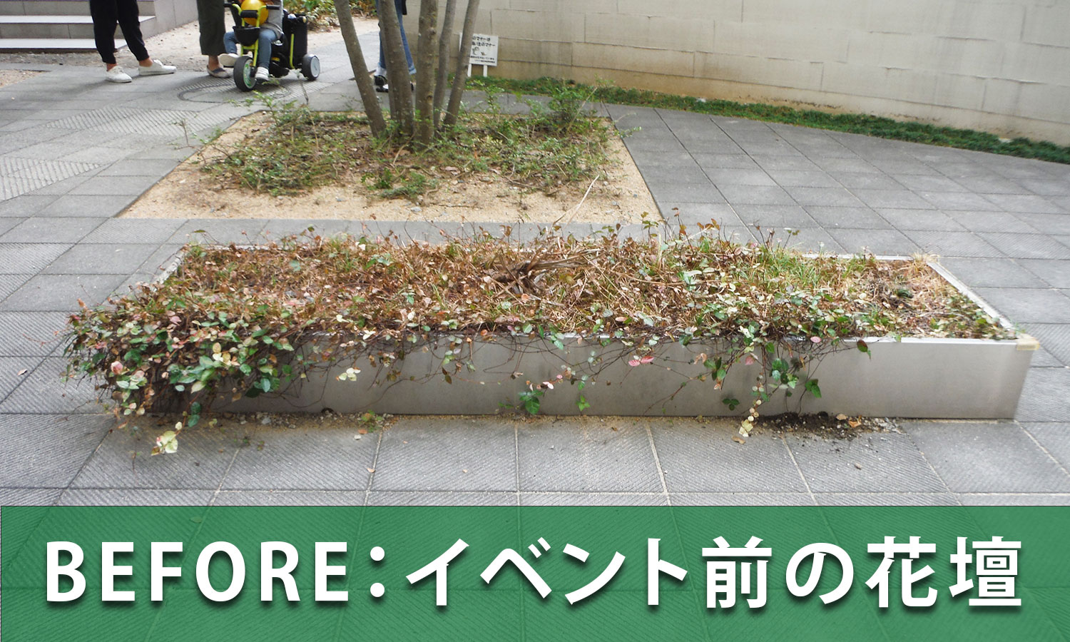 イベント前の花壇